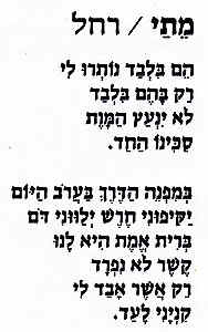 scan5.JPG (18704 bytes)